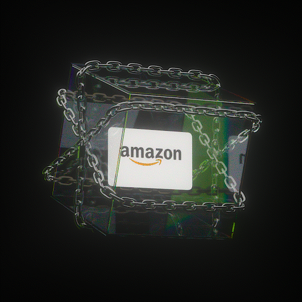 $100 AMAZON GIFT CARD